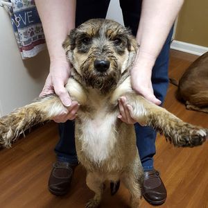 Meet your Posher, Brent